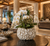 Copy of White Sea Oyster Ceramic Vase – Handmade in Thailand – 7"