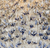 Close-up of individually sculpted cobalt blue jasmine blossoms on the handmade Thai ceramic lamp.