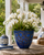 Handcrafted Blue Seabreeze Ginkgo Ceramic Vase V260MB