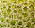 Close up of handmade Thai ceramic lamp showing dimensional oyster shell texture with lime green and ivory reactive glaze