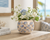 Copy of Handmade Thai Cream & Blue Botanical Ceramic Vase – 5.5"