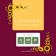 Sunflowers Release 4th September 2021 at 3PM AEST