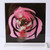 REVOLUTIONARY GIRL UTENA Utena Acrylic Spinning Standee Decor Collectible | Illustrated and designed in Australia by Mochi La Vie, Sydney