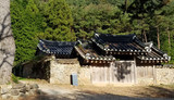 A Tea Trip to South Korea