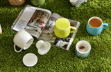 What’s the Fuss about Teas Harvested in Spring?