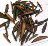 Labrador Tea - A Patriot Tea
