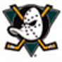 Anaheim Mighty Ducks Safety Helmets