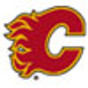 Calgary Flames Safety Helmets