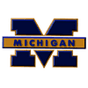 Michigan University Wolverines Safety Helmets