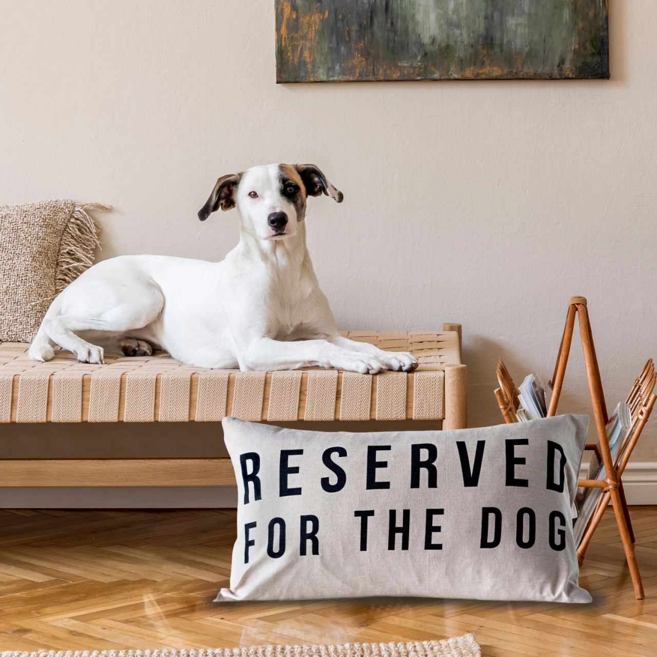 Reserved for the dog pillow
