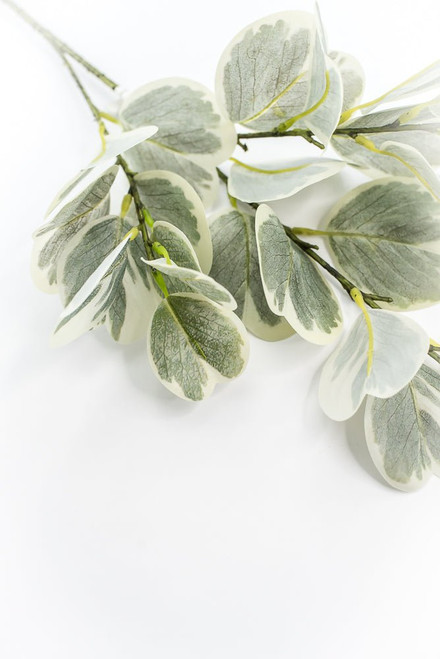 Garden Euonymus Spray - 28"