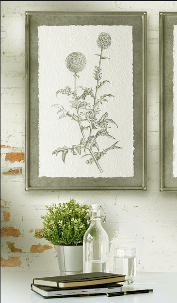 High-definition black and white macro photograph of a dandelion seed head printed on a sleek, glossy aluminum metal panel.