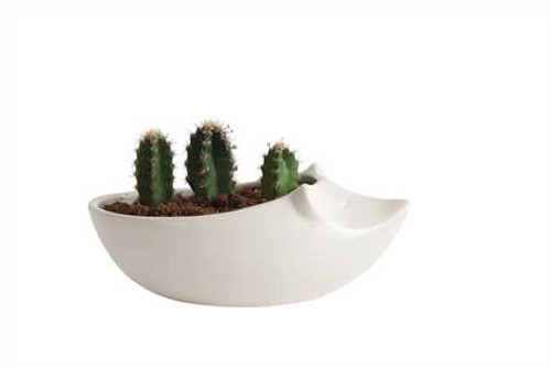 Ceramic Hedgehog Planter, Matte White, Holds 3" Pot