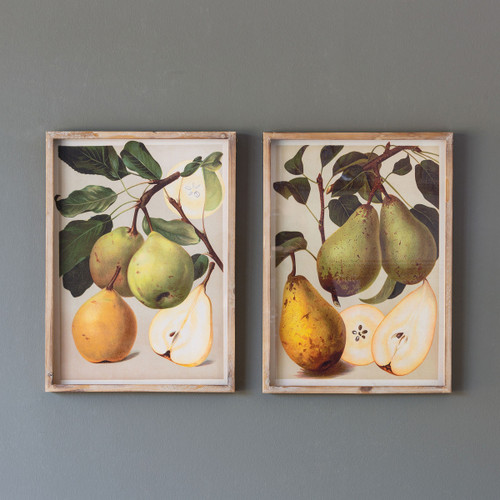 Bartlett Pear Botanical Prints