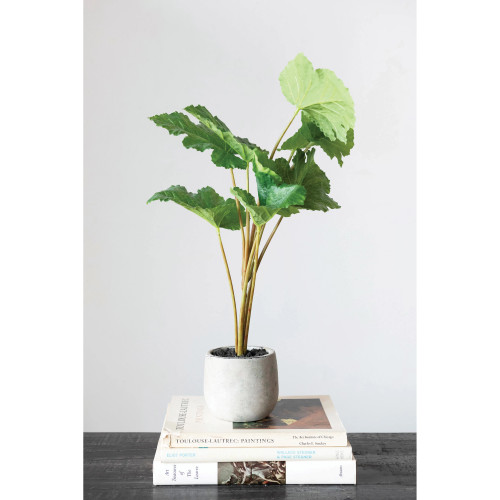 Faux Begonia Emeiensis in Cement Pot