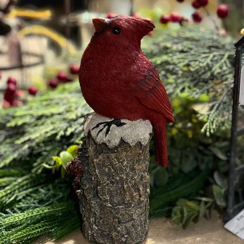 Cardinal on a Stump - II