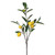 Orchard Lemon Spray - 35"