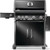 Rogue® PRO 625 Natural Gas Grill with Infrared Side Burner, Black