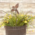 Hummingbird Plant Stake