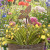 Hummingbird Plant Stake