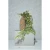 Hanging Eucalyptus