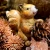 A lifelike forest squirrel figurine with detailed, textured fur markings, captured in a sitting position, perfect for rustic or woodland-themed home decor.