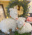 Llama with Florals