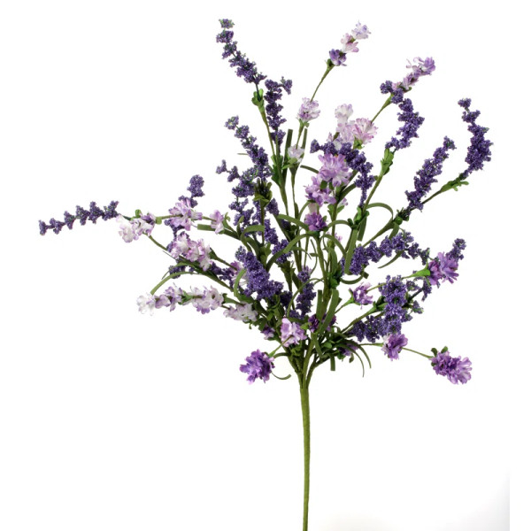 Lavender Clover Berry Bush - 23"