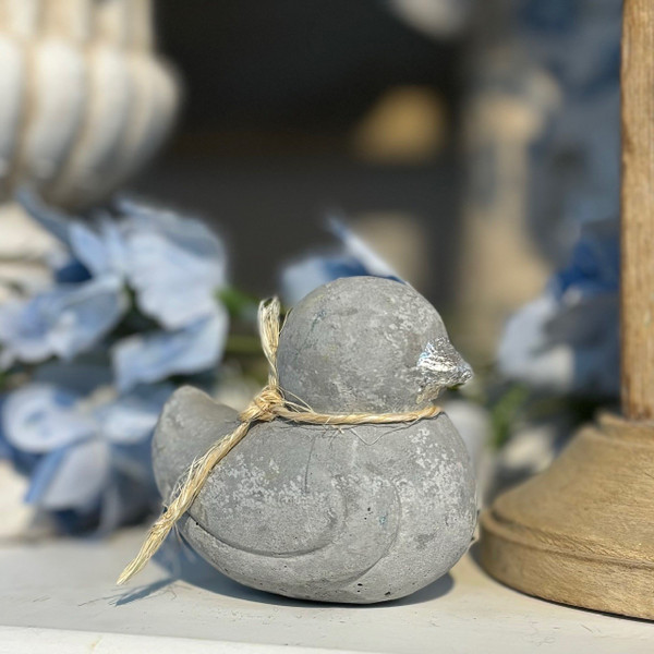 Small Duck with Silver Beak