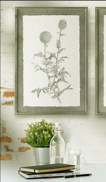 High-definition black and white macro photograph of a dandelion seed head printed on a sleek, glossy aluminum metal panel.