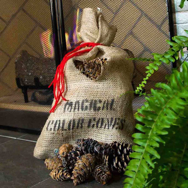 Magic Color Pine Cones