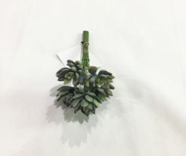 9" Star Succulent Pick