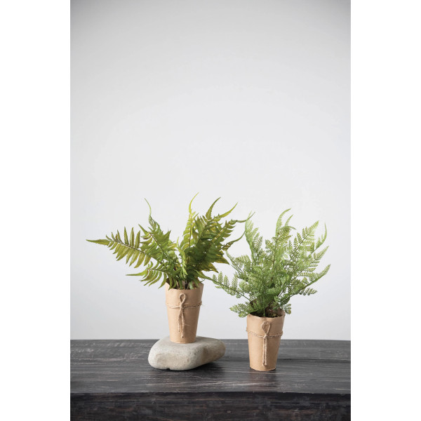 Faux Fern in Paper Pot, 2 Styles