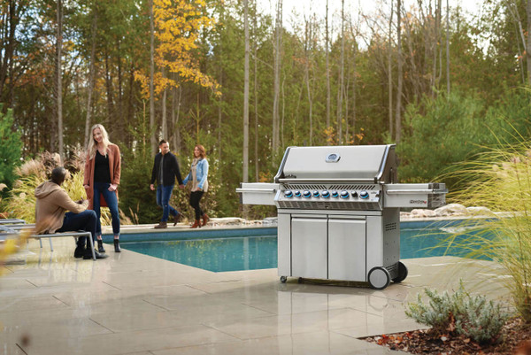 Prestige PRO™ 665 RSIB - Natural Gas