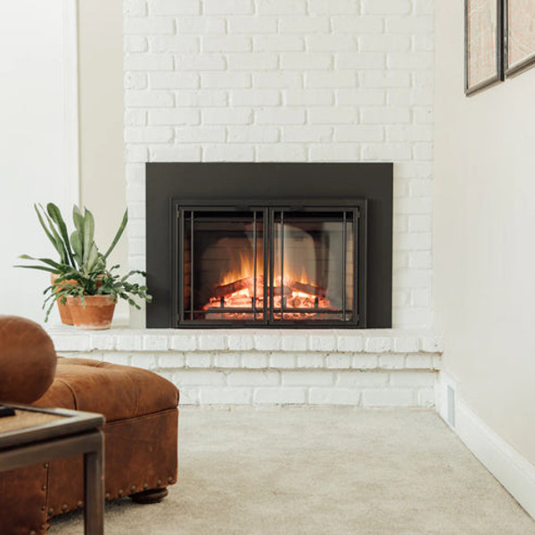 25" Electric Insert