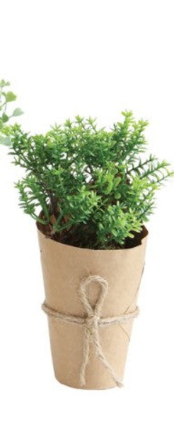 Faux Plant - Boxwood