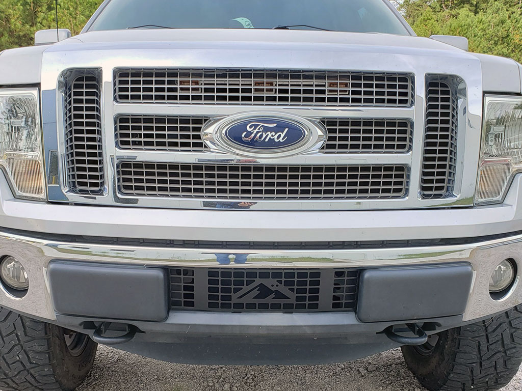 Ford Grille Insert - Front View