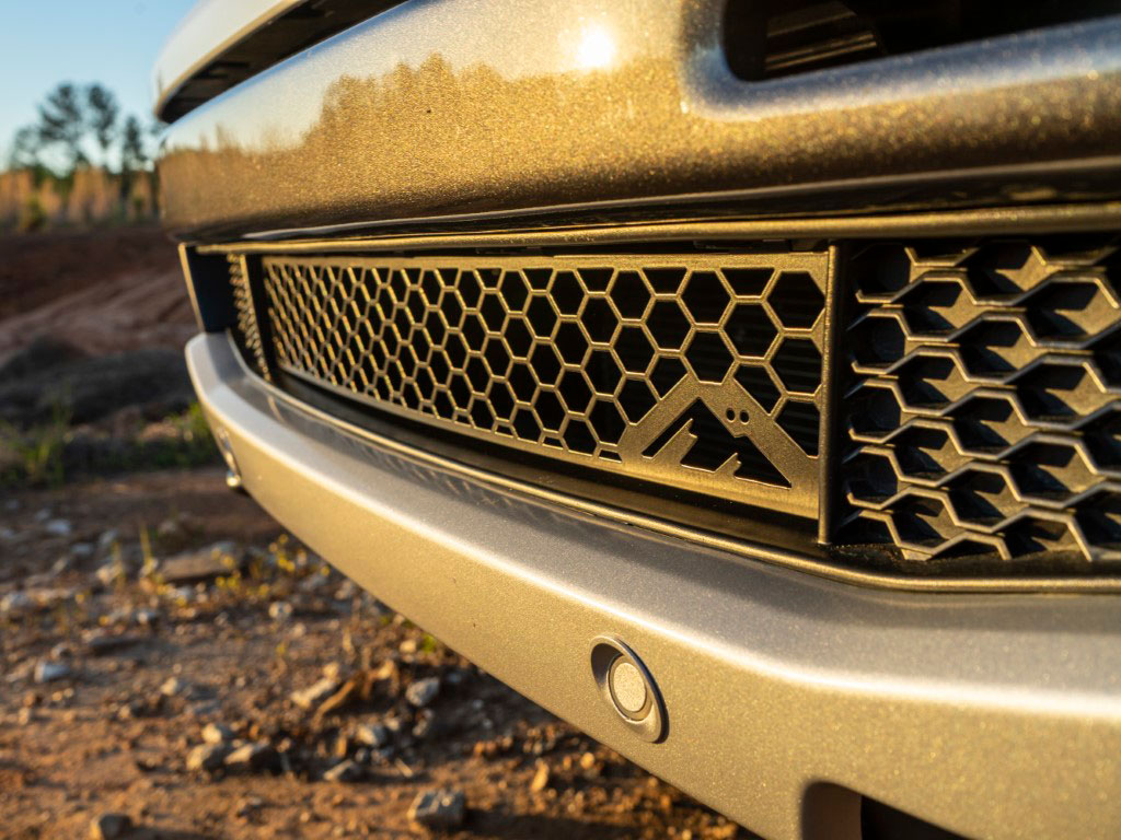 Grille Insert