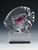 Flame Memorials Fish cremains, blown glass art, engraved base