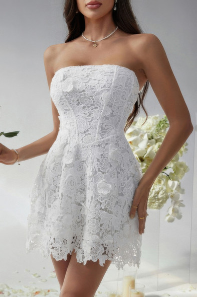 Solid Lace Up Lace Mini Fit Tube Dress-49859