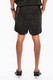 Metallic Flick Shorts-45683