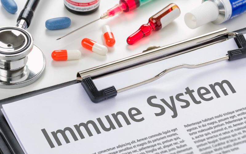 Effects of Stress on the Immune System Explained