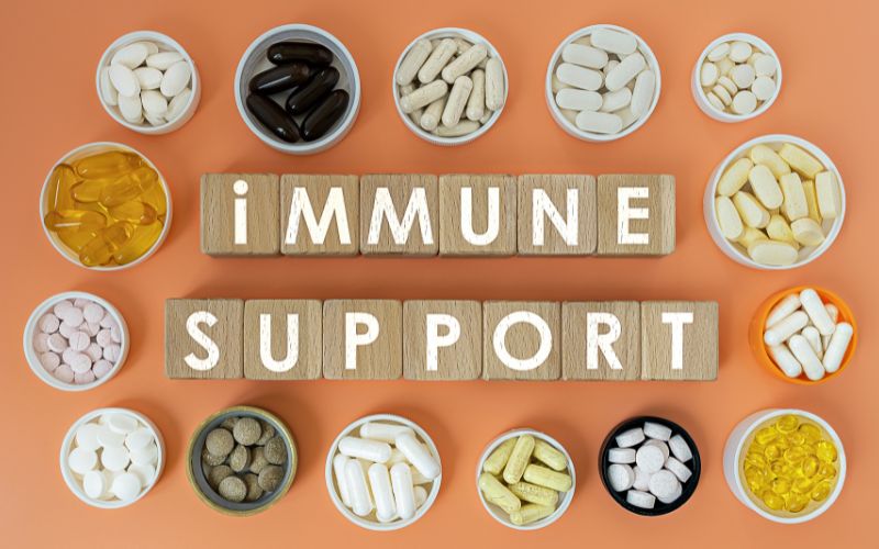 Herbal Supplements for Immune Support