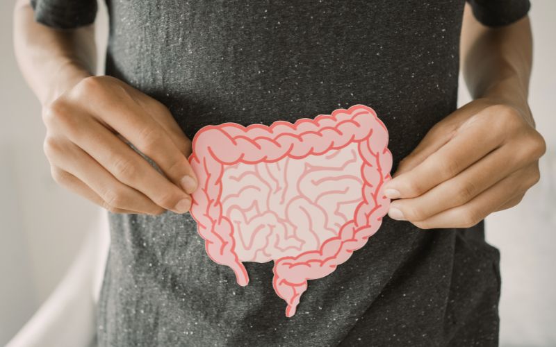 Magnesium’s Role in Gut and Digestive Health