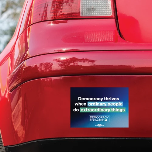 Extraordinary Things (5" x 3.5" Bumper Magnet)