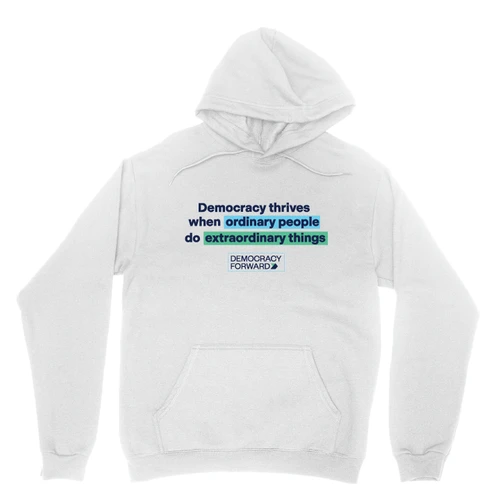 Extraordinary Things (Pullover Hoodie)