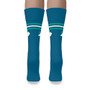 Extraordinary Things (Blue Crew Sock)