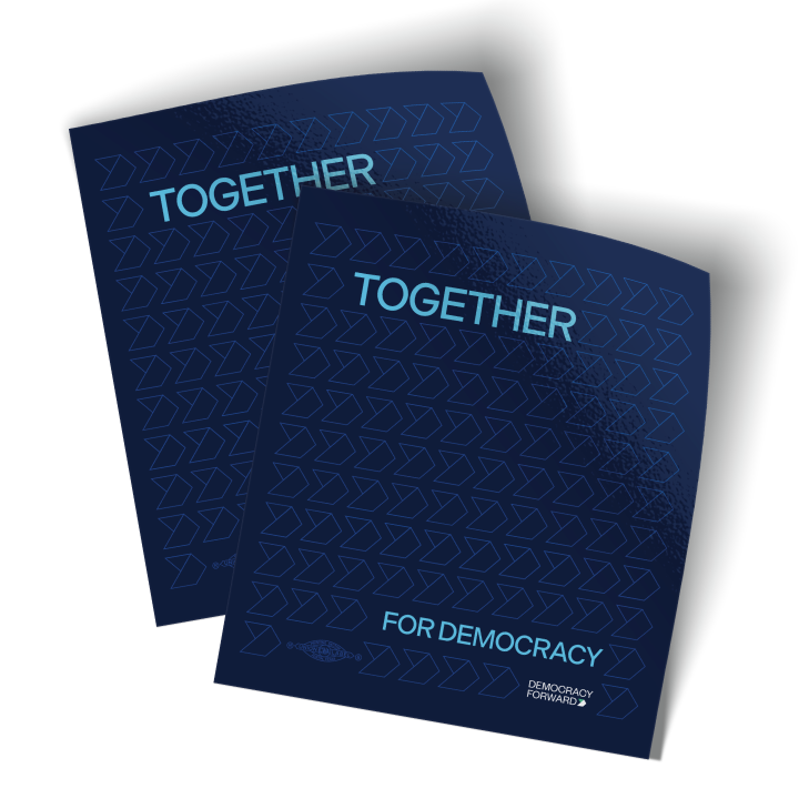Together For Democracy (3.5" x 4" Vinyl Sticker -- Pack of Two!)