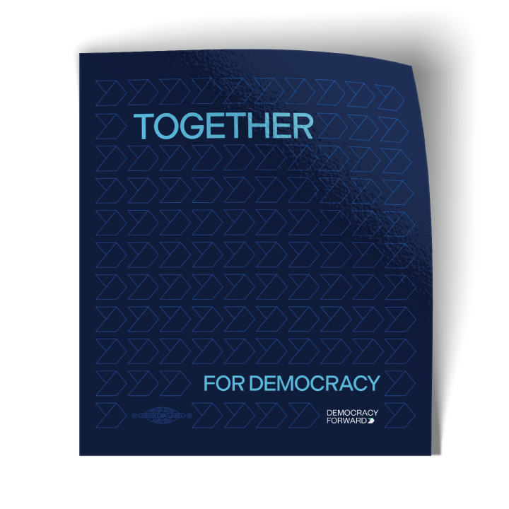 Together For Democracy (3.5" x 4" Vinyl Sticker -- Pack of Two!)