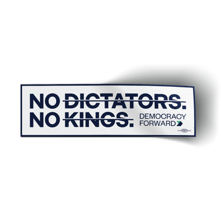 No Dictators - Rectangle (10" x 3" Vinyl Sticker)